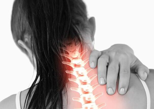 Backbone